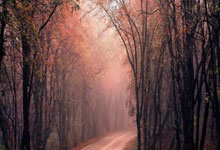 B体育：全英羽毛球公开赛：石宇奇再登顶 国羽两金两银收官2025-03-17.