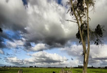 [CBA]周最佳+月度最佳星锐 杨瀚森双喜临门.