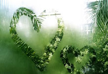 B体育：⭐️浙江vs北京大名单：余嘉豪、程帅澎和吴前缺阵，周琦领衔出战.