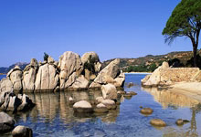 利瓦科维奇:我们习惯了与最好的球队对抗;对手非常危险.